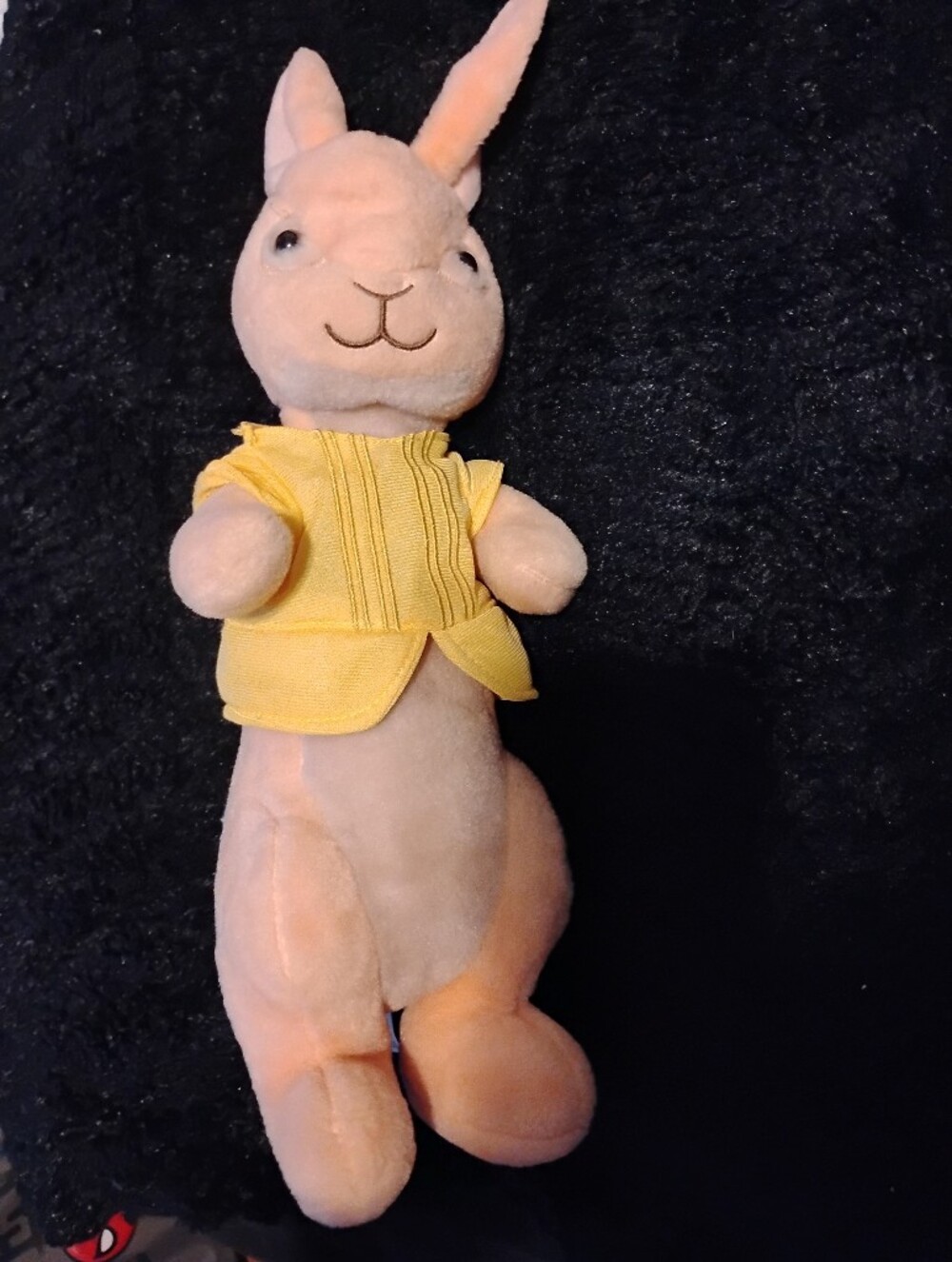 Peter Rabbit with Yellow Outfit - Soft Kids Stuffed Animal